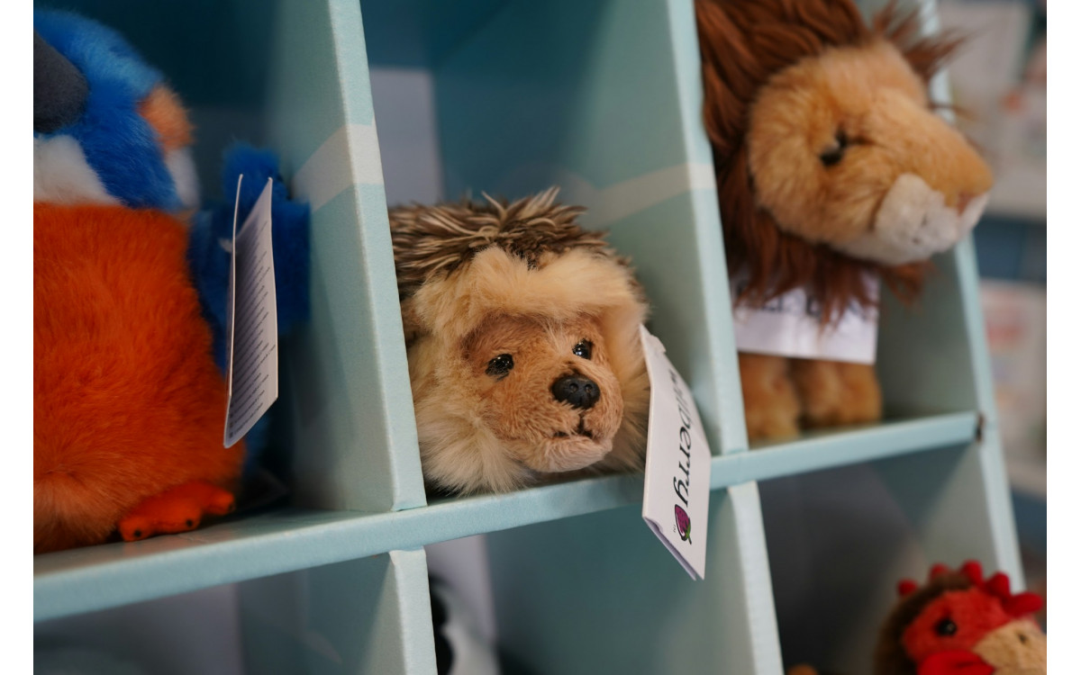Quarterly Framework to Refresh a Gift Store Toy Range