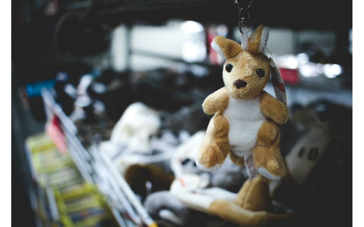 Build a Signature Australian Giftware Range With Storytelling, IP, and Packaging