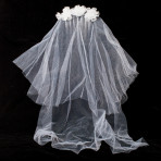 Hens Party Comb and Veil