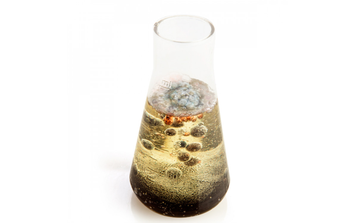 Holiday Gift Trends to Watch